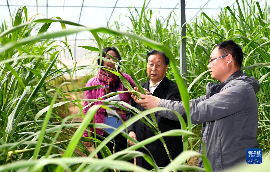 201666236575588292.jpeg 7.jpeg