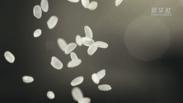 191668837780352777.gif 1129069721_16660937723681n.gif