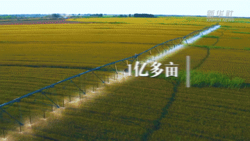 191668837841964404.gif 1129069721_16660937723651n.gif