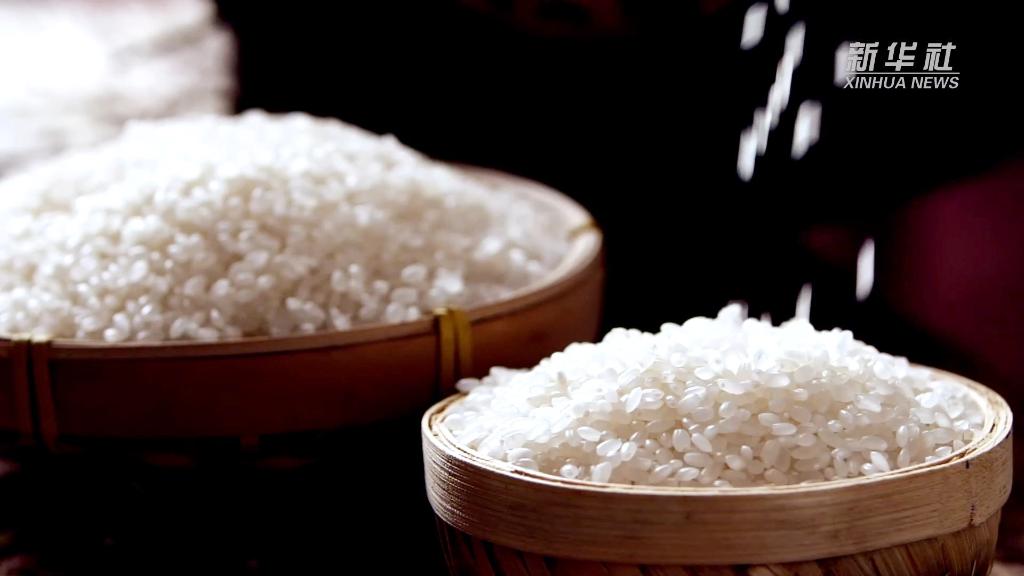 191668837875702163.jpeg 1129069721_16660937723741n.jpeg