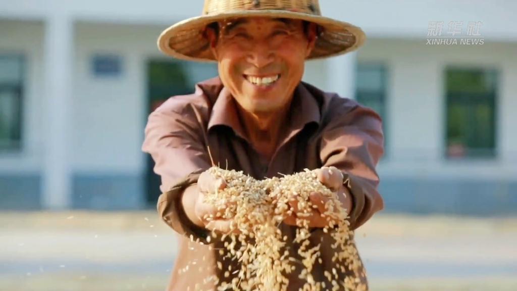 191668837912187443.jpeg 1129069721_16660937723771n.jpeg