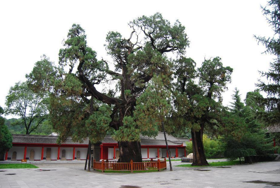 241669261657920354.png image.png