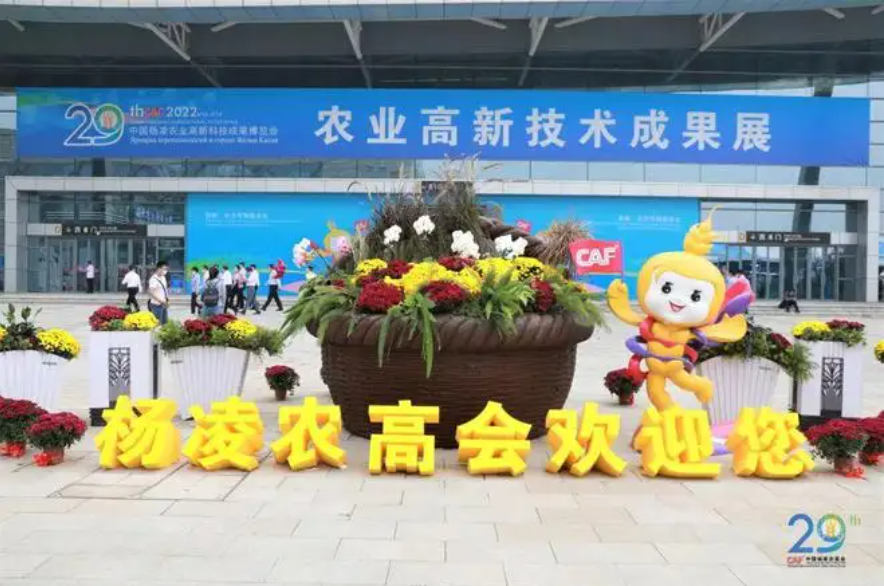QQ截图20220920111312.png