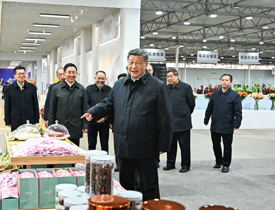 习主席4.jpeg